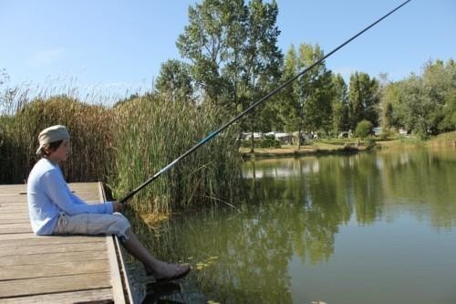 Camping DOMAINE D'INLY