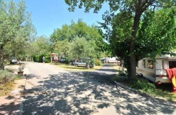 Camping Le Petit Bois Sites et Paysages