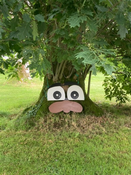 Camping Ecologique le Lac O Fées