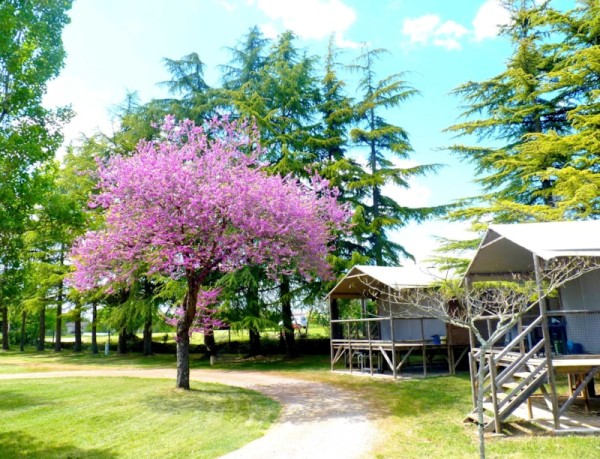 Acadian Lodge  / 2 bedrooms / air conditioning - sheltered terrace 1/6 Ppl. - Camping Quercy Vacances ****