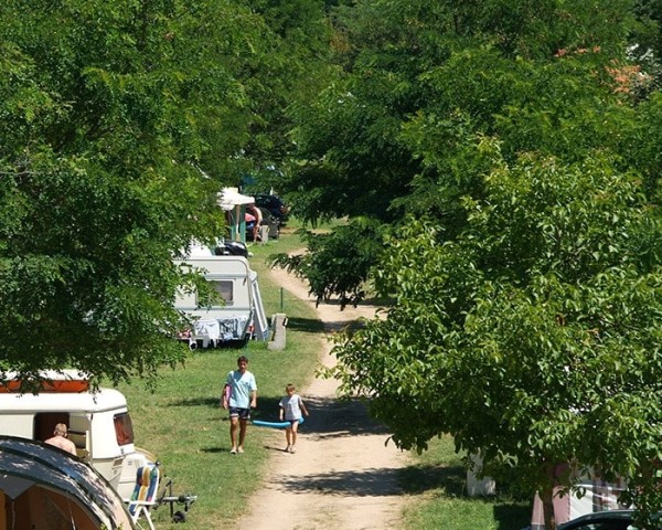 Pitch Confort + car + tent or caravan + electricity 2/6 Ppl. - Flower Camping Mas de Champel