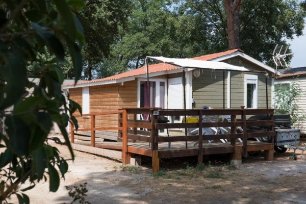 Chalet Confort 2ch 4/6 pers TV-CLIM-PMR 6 Pers. - Camping Les Micocouliers