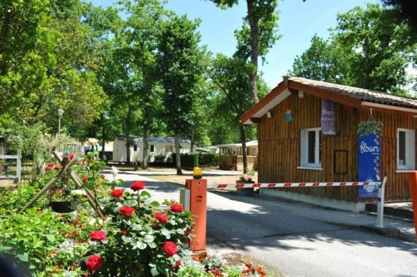 Flower Camping La Canadienne