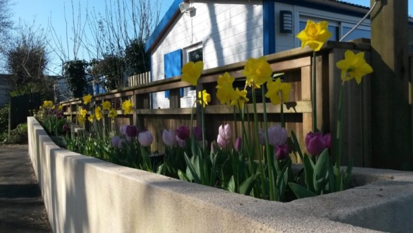 Camping Les Peupliers