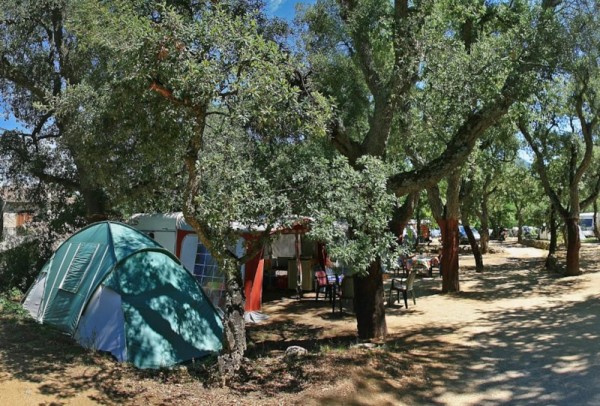 Pitch 3 : car + tent/caravan or camping-car + electricity 16A (+FRIGO+BBQ+WIFI+2 VELOS) 2 Ppl. - Camping Les Albères