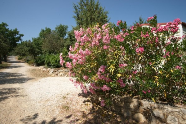 Domaine de la Cigalière