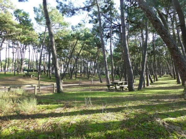 Camping La Pinède