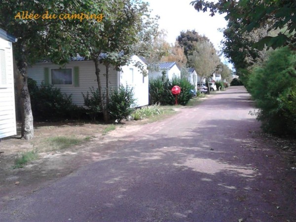 Plein Air Locations - camping Les Tamaris