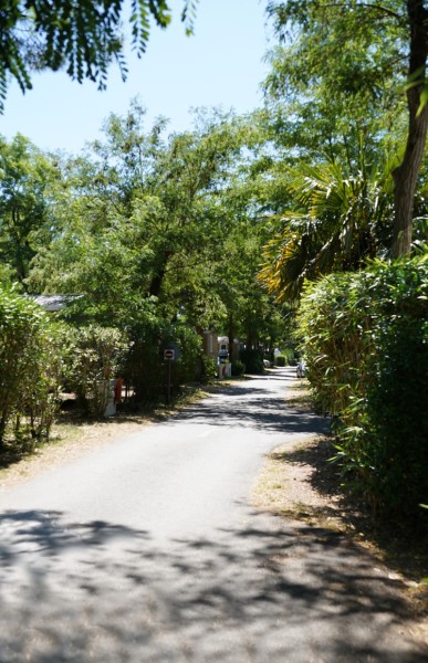 Camping Les Fougères