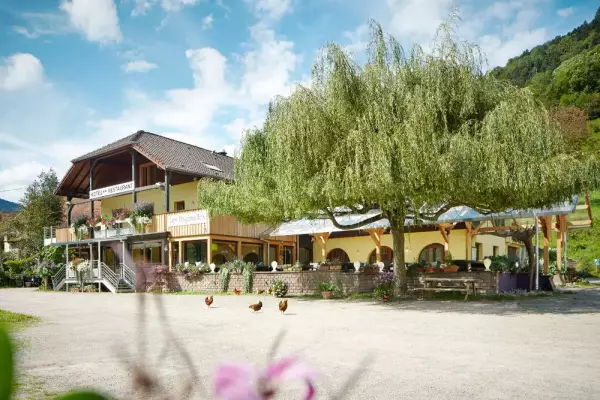 Hostellerie Les Bagenelles - Brasserie