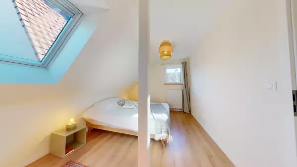 Le tilleul de la vallée noble 2