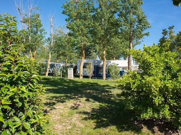 Standard Pitch >100m² + 1 vehicle + 10A electricity 1/2 Ppl. - Camping Le Serignan Plage Nature